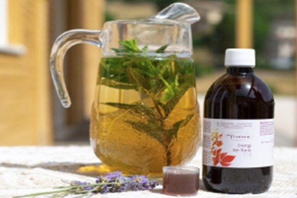 Bodyslim-lakshmi-ayurveidsch